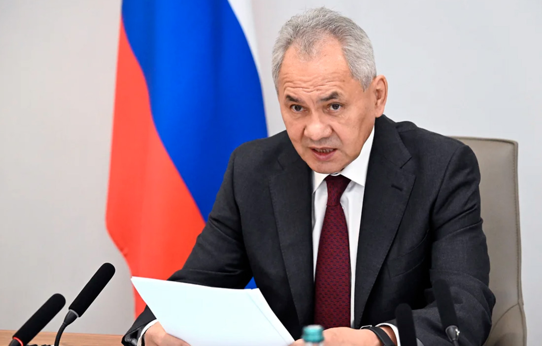 Шойгу призвал создать в рамках БРИКС механизм реагирования на угрозы и ЧС